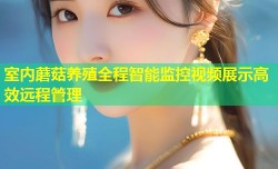 室内蘑菇养殖全程智能监控视频展示高效远程管理