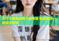 大个子蘑菇视频下载神器 极速高清一键保存体验