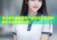 宝清县采蘑菇视频大全精选实拍 探秘野外采摘乐趣与技巧