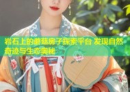 岩石上的蘑菇房子探索平台 发现自然奇迹与生态奥秘