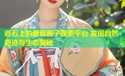 岩石上的蘑菇房子探索平台 发现自然奇迹与生态奥秘