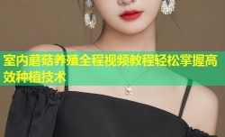 室内蘑菇养殖全程视频教程轻松掌握高效种植技术