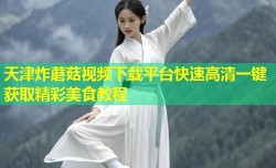 天津炸蘑菇视频下载平台快速高清一键获取精彩美食教程