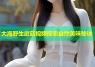 大海野生蘑菇视频探索自然美味秘诀