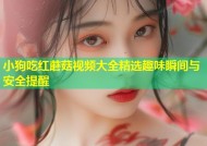 小狗吃红蘑菇视频大全精选趣味瞬间与安全提醒