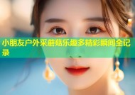 小朋友户外采蘑菇乐趣多精彩瞬间全记录
