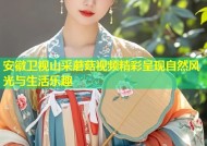 安徽卫视山采蘑菇视频精彩呈现自然风光与生活乐趣