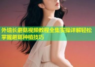 外墙长蘑菇视频教程全集实操详解轻松掌握蘑菇种植技巧