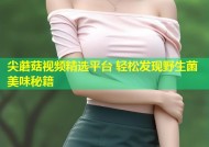 尖蘑菇视频精选平台 轻松发现野生菌美味秘籍