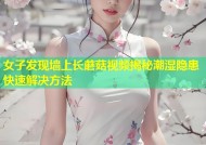 女子发现墙上长蘑菇视频揭秘潮湿隐患快速解决方法