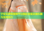 宁安采蘑菇视频平台精彩呈现采摘乐趣与实用技巧