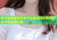 娘子军采蘑菇实录平台直击精彩瞬间轻松分享自然乐趣