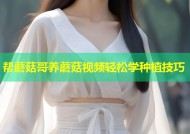 帮蘑菇哥养蘑菇视频轻松学种植技巧