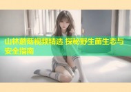 山林蘑菇视频精选 探秘野生菌生态与安全指南