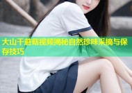 大山干蘑菇视频揭秘自然珍味采摘与保存技巧