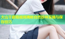 大山干蘑菇视频揭秘自然珍味采摘与保存技巧