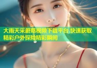 大雨天采蘑菇视频下载平台 快速获取精彩户外探险精彩瞬间