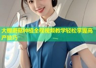 大棚蘑菇种植全程视频教学轻松掌握高产技巧