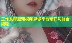 工作女郎蘑菇视频录像平台精彩功能全揭秘