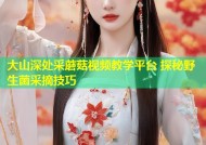 大山深处采蘑菇视频教学平台 探秘野生菌采摘技巧