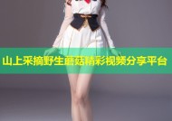 山上采摘野生蘑菇精彩视频分享平台