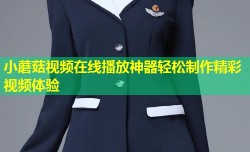 小蘑菇视频在线播放神器轻松制作精彩视频体验