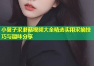 小舅子采蘑菇视频大全精选实用采摘技巧与趣味分享