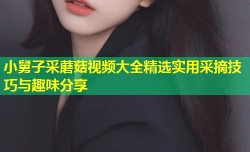 小舅子采蘑菇视频大全精选实用采摘技巧与趣味分享