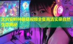 大兴安岭种蘑菇视频全集高清实录自然生态揭秘