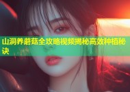 山洞养蘑菇全攻略视频揭秘高效种植秘诀