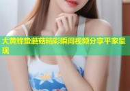 大黄蜂蛰蘑菇精彩瞬间视频分享平家呈现