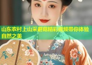 山东农村上山采蘑菇精彩视频带你体验自然之美