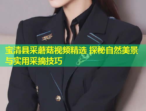 宝清县采蘑菇视频精选 探秘自然美景与实用采摘技巧  第2张