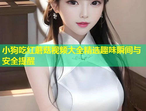小狗吃红蘑菇视频大全精选趣味瞬间与安全提醒  第2张