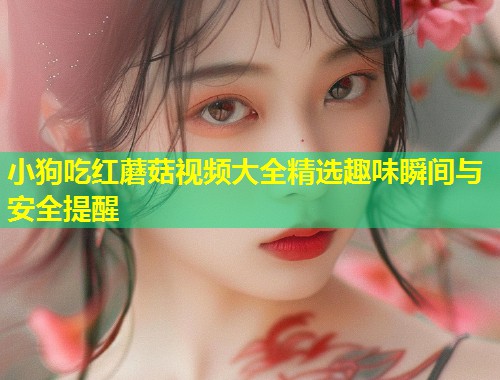 小狗吃红蘑菇视频大全精选趣味瞬间与安全提醒  第1张