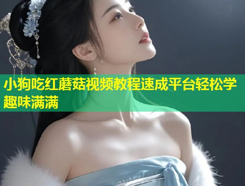 小狗吃红蘑菇视频教程速成平台轻松学趣味满满  第2张