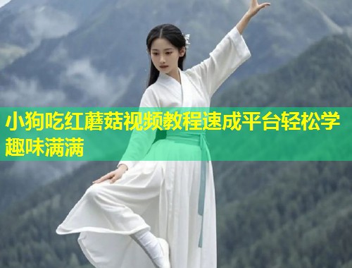 小狗吃红蘑菇视频教程速成平台轻松学趣味满满  第1张