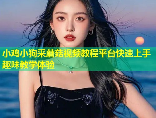 小鸡小狗采蘑菇视频教程平台快速上手趣味教学体验  第1张