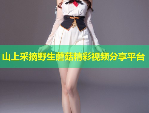 山上采摘野生蘑菇精彩视频分享平台  第1张