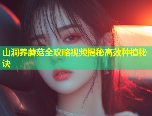 山洞养蘑菇全攻略视频揭秘高效种植秘诀  第1张