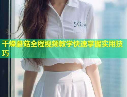 干燥蘑菇全程视频教学快速掌握实用技巧  第1张