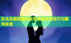 东北采蘑菇视频全景呈现实用技巧与趣味体验