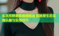 东北捡野蘑菇视频精选 探秘原生态采摘乐趣与实用技巧