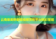 云南最美野蘑菇视频赏析平台精彩呈现