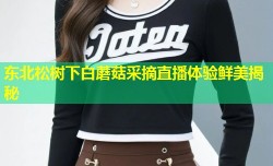 东北松树下白蘑菇采摘直播体验鲜美揭秘