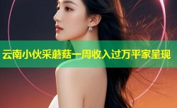 云南小伙采蘑菇一周收入过万平家呈现