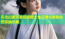 东北山里采蘑菇视频大全沉浸式体验自然采摘乐趣