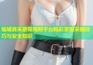 临城县采蘑菇视频平台精彩呈现采摘技巧与安全知识