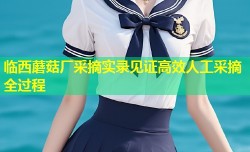 临西蘑菇厂采摘实录见证高效人工采摘全过程