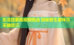 东北捡蘑菇视频精选 探秘野生美味与采摘技巧